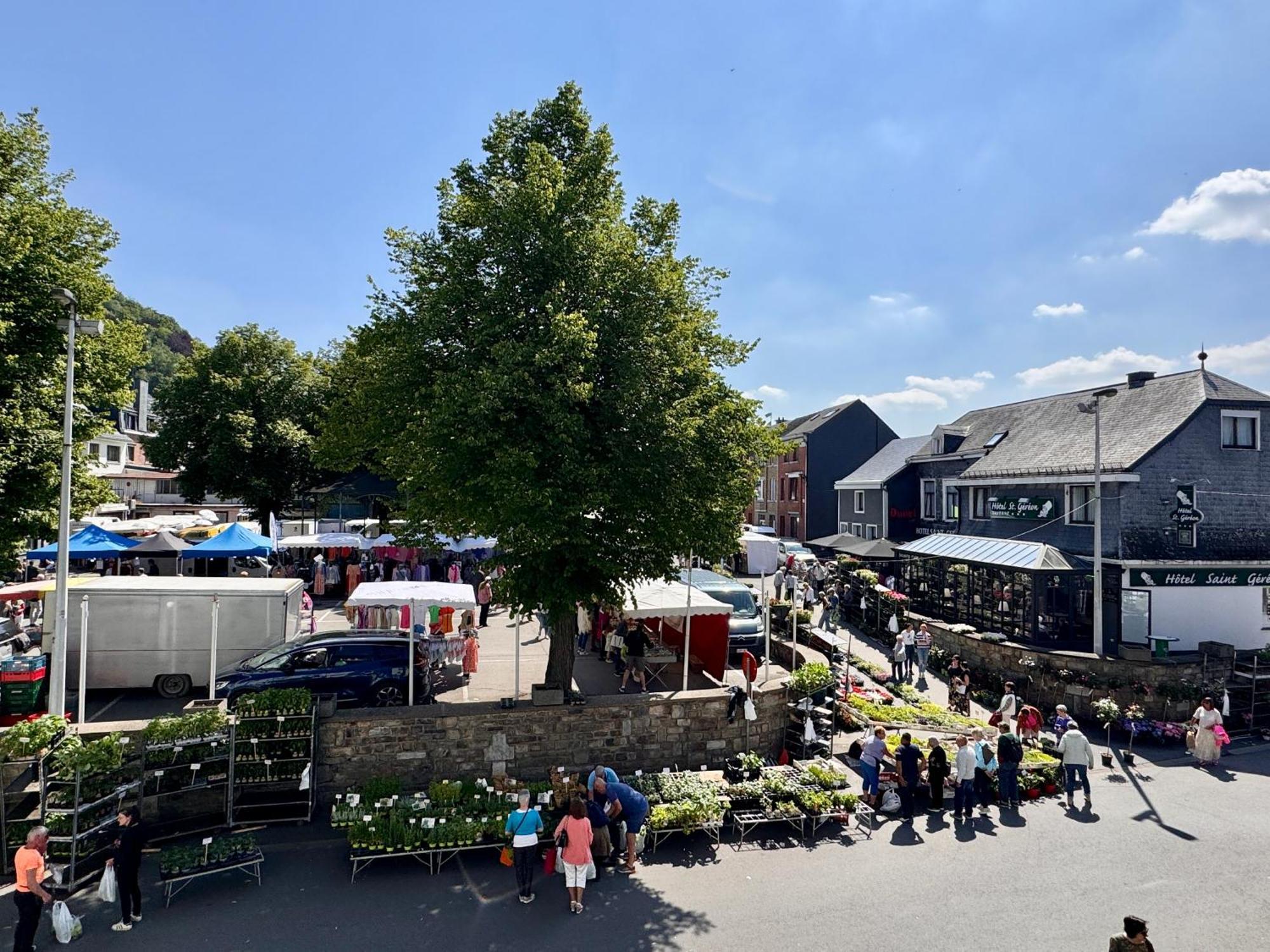 Le Dragon - Gite Accueillant Malmedy Exterior foto